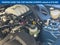 2021 Ford Mustang Shelby GT500