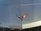 2019 Chevrolet Corvette Grand Sport Grand Sport 2LT
