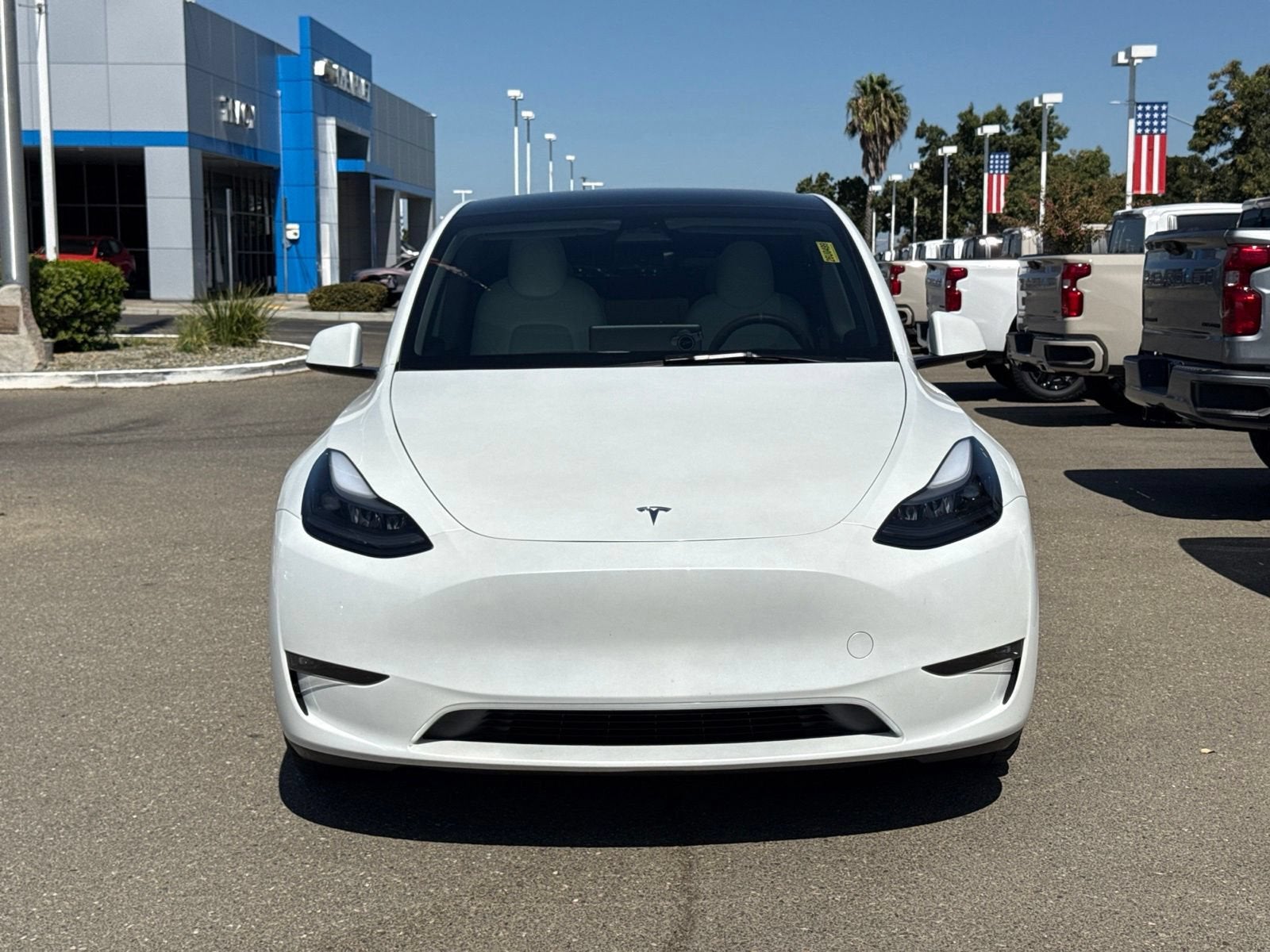 2023 Tesla Model Y Performance
