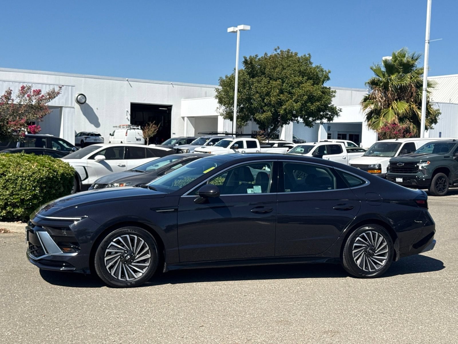 2025 Hyundai Sonata Hybrid Limited